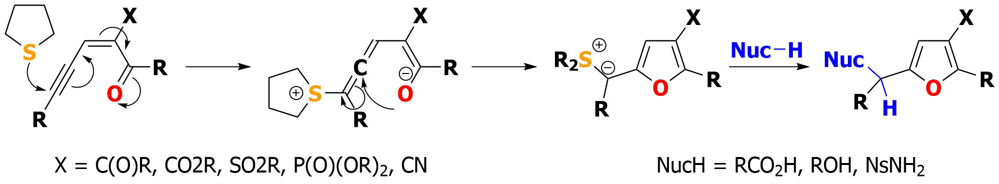 Abstract image for Organocatalytic Synthesis of Highly Substituted Furfuryl Alcohols and Amines