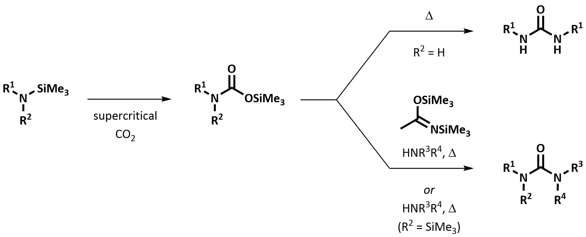 Abstract image for Clean and Efficient Synthesis of <i>O</i>-Silylcarbamates and Ureas in Supercritical Carbon Dioxide