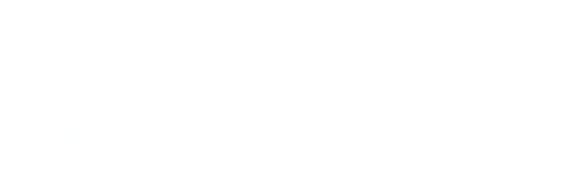 Tetrahydrofurans Synthesised