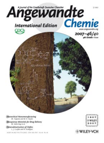 Cover for Angew. Chem. Int. Ed. 2007 46 40.