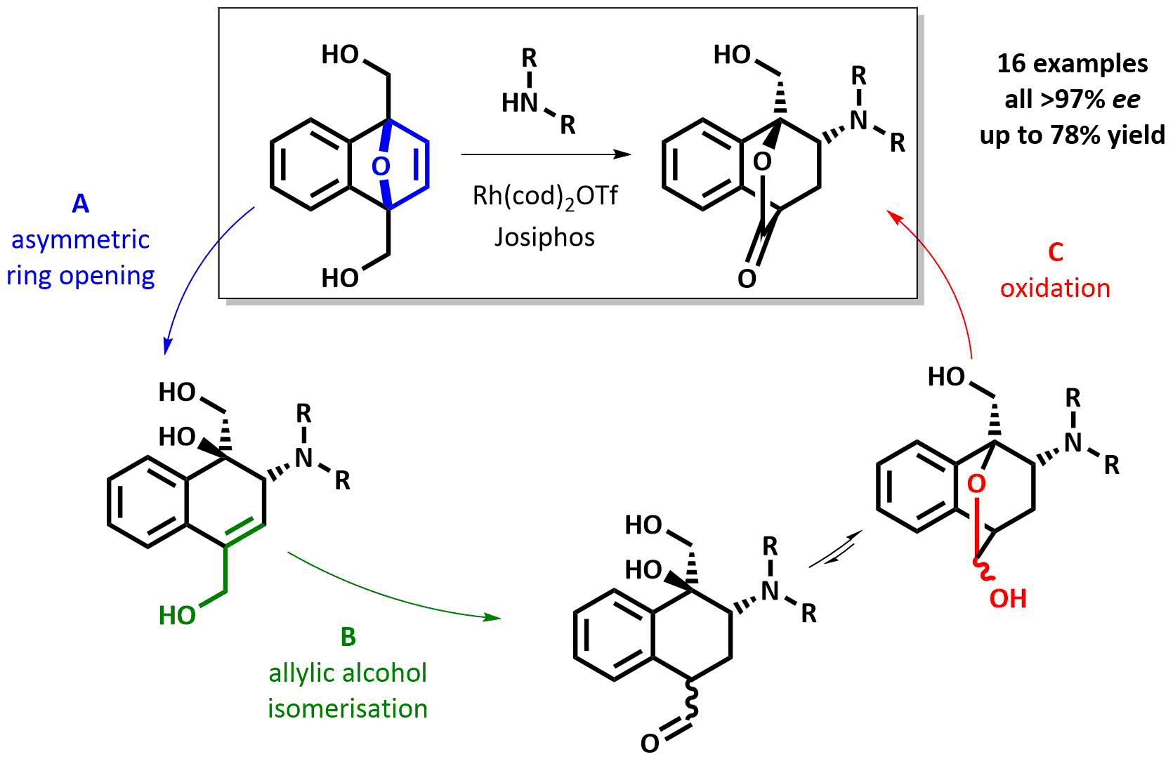 Abstract image for Rhodium-Catalysed Domino Enantioselective Synthesis of Bicyclo[2.2.2]lactones