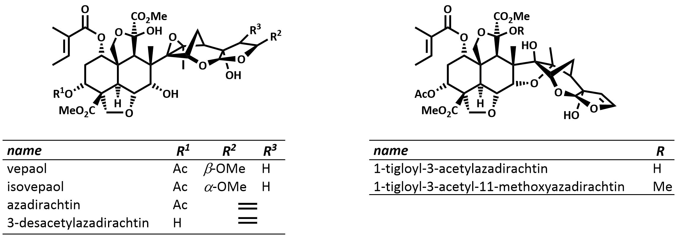 Abstract image for Synthesis of Natural Products from the Indian Neem Tree <i>Azadirachta Indica</i>