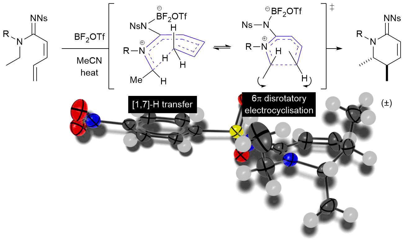Abstract image for Stereodefined Synthesis of Cyclic Amidines by Domino 1,7-H Shift and 6π Electrocyclisation